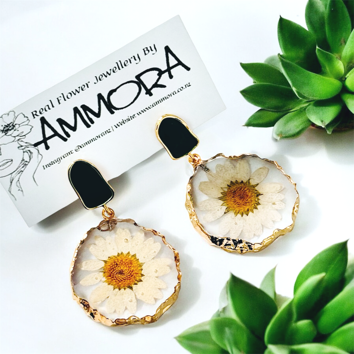 Round Daisy Real Flower Earrings
