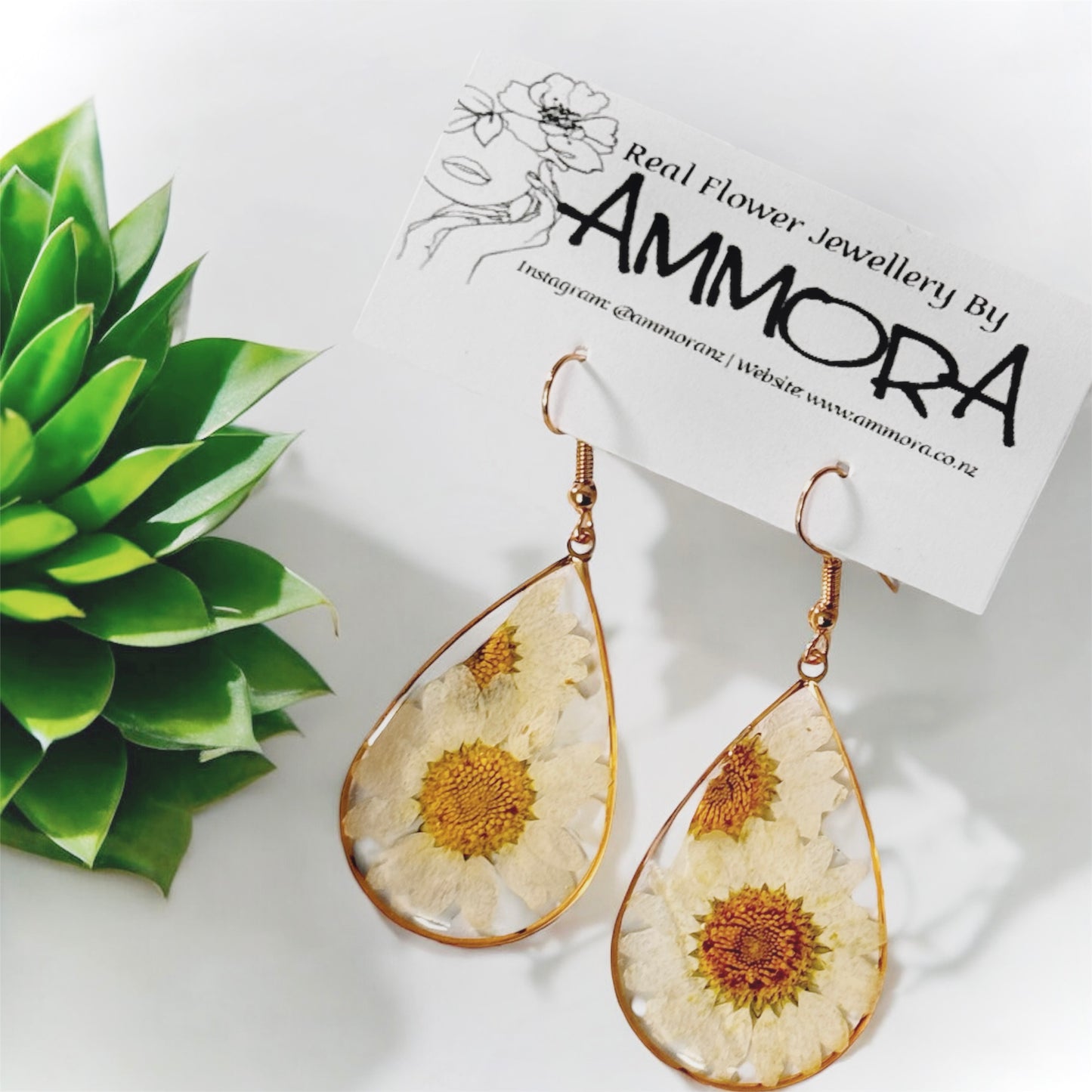 Daisy Real Flower Earrings